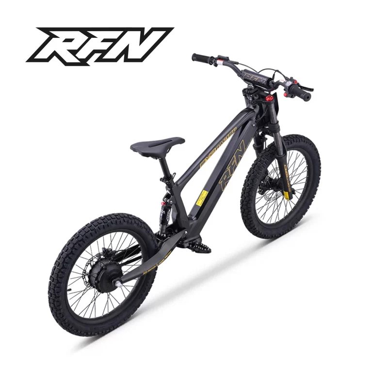 rfn_e-laufrad_evo_racing_20_schwarz