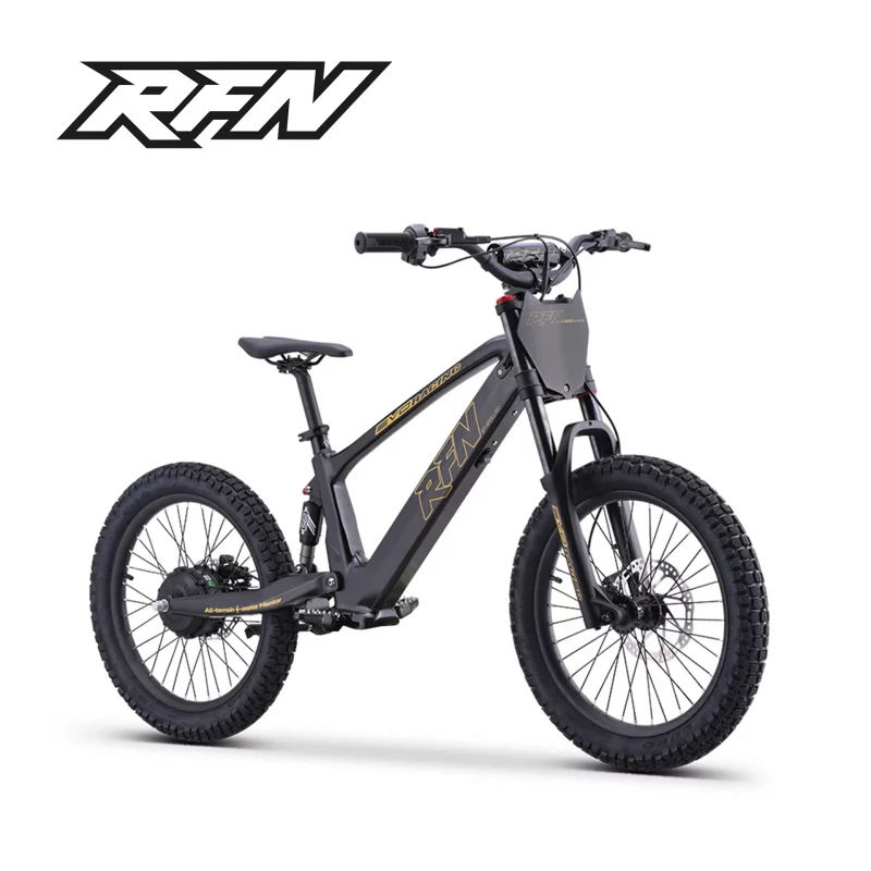 rfn_e-laufrad_evo_racing_20_schwarz