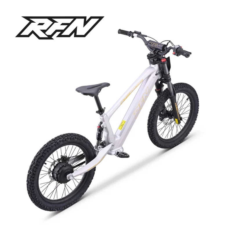 rfn_e-laufrad_evo_racing_20_silber