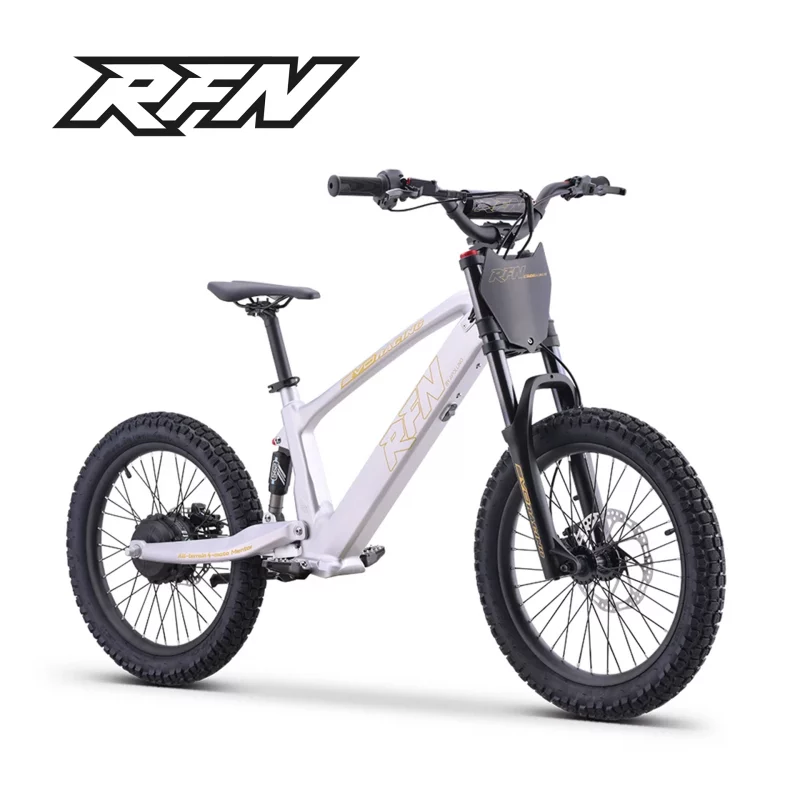 rfn_e-laufrad_evo_racing_20_silber